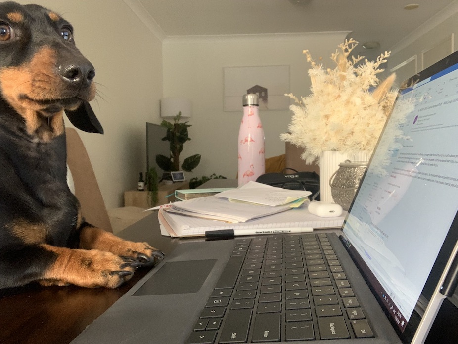 partner visa australia