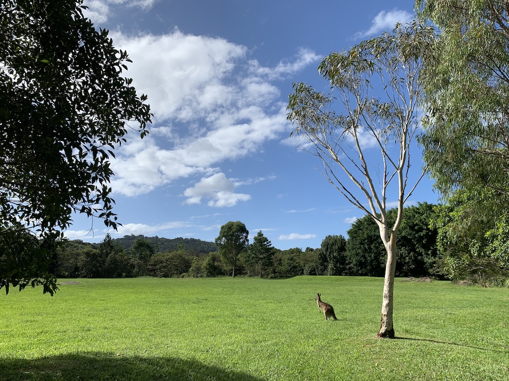 partner visa australia